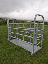 Load image into Gallery viewer, ODE 8ft Mobile Cattle Crush
