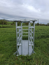 Load image into Gallery viewer, ODE 8ft Mobile Cattle Crush