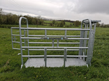 Load image into Gallery viewer, ODE 8ft Mobile Cattle Crush