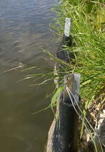 Load image into Gallery viewer, Clipx Beefy Post