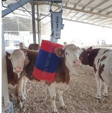 Load image into Gallery viewer, Kurtsan Automatic Cow Brush
