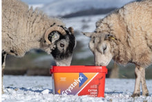 Load image into Gallery viewer, Crystalyx Hi Energy Sheep