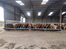 Load image into Gallery viewer, Flip Down Feed Troughs