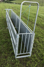 Load image into Gallery viewer, Leam Standard 16ft Sheep Race