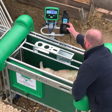 Load image into Gallery viewer, Shearwell Indicator