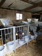 Load image into Gallery viewer, Calf Pens - Solid Side and Timber Floor