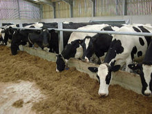 Load image into Gallery viewer, Single Feed Rail from Leam Agri Ltd, Tempo, County Fermanagh, Northern Ireland. Serving Fermanagh, Tyrone, Antrim, Down, Londonderry, Armagh, Cavan, Leitrim, Sligo, Monaghan, Donegal, Dublin Carlow, Clare, Cork, Galway, Kerry, Kildare, Kilkenny, Laois, Limerick, Longford, Louth, Mayo, Meath, Monaghan, Offaly, Roscommon, Tipperary, Waterford, Westmeath, Wexford and Wicklow and throughout the United Kingdom