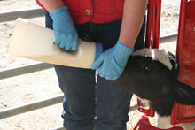 Load image into Gallery viewer, O’Neill Calf &amp; Sheep Staller
