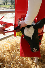 Load image into Gallery viewer, O’Neill Calf &amp; Sheep Staller
