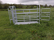 Load image into Gallery viewer, ODE 8ft Mobile Cattle Crush
