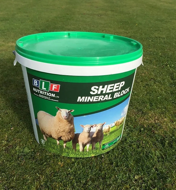 BFL Sheep Mineral Block