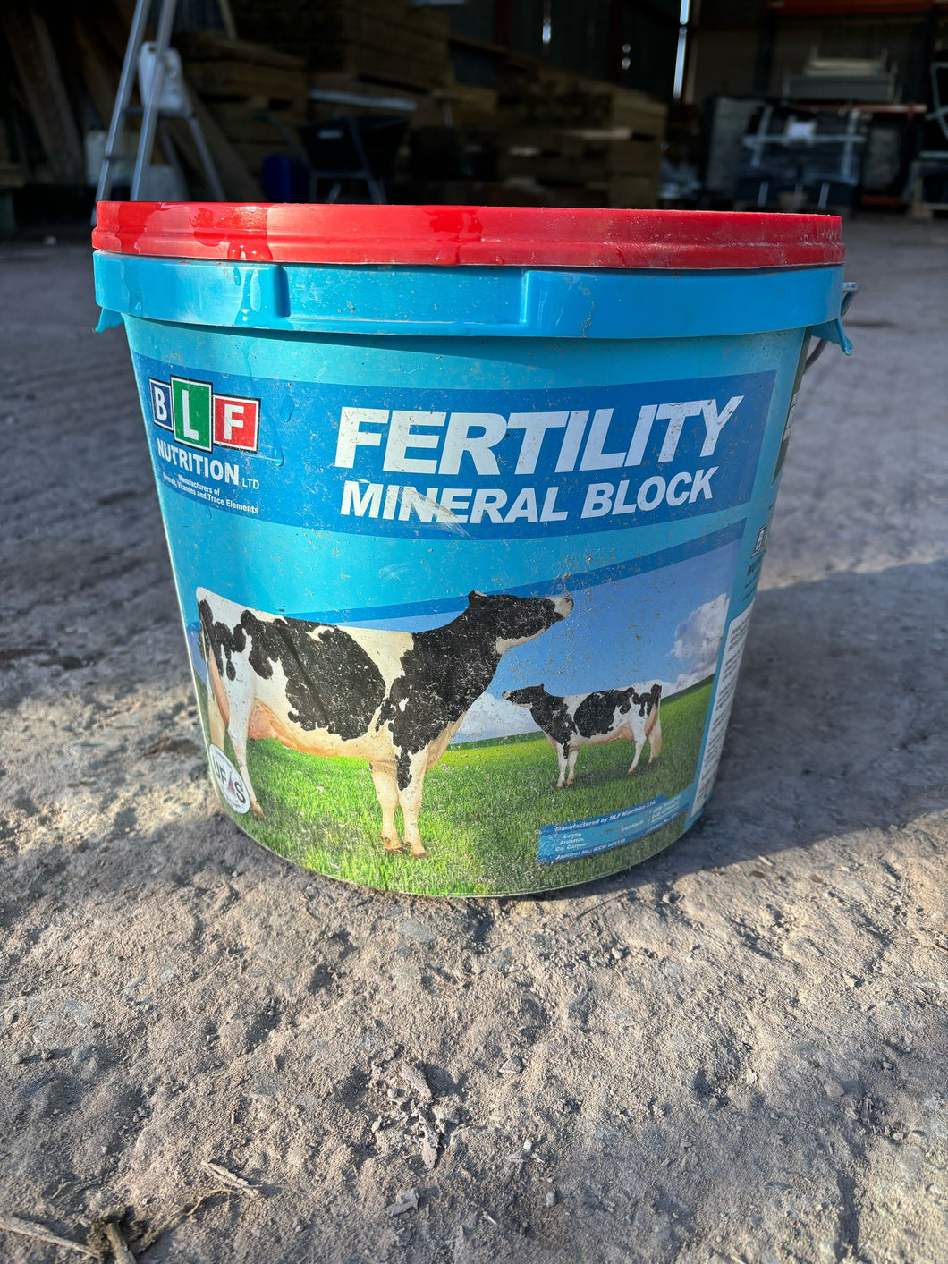 BFL Dairy Cow Fertility