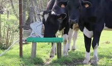 Load image into Gallery viewer, Aquamat Pasture Pump
