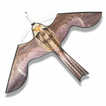 Load image into Gallery viewer, Kite Bird Scarer
