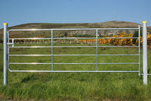 Load image into Gallery viewer, D4 Cattle Gate from Leam Agri Ltd, Tempo, County Fermanagh, Northern Ireland. Serving Fermanagh, Tyrone, Antrim, Down, Londonderry, Armagh, Cavan, Leitrim, Sligo, Monaghan, Donegal, Dublin Carlow, Clare, Cork, Galway, Kerry, Kildare, Kilkenny, Laois, Limerick, Longford, Louth, Mayo, Meath, Monaghan, Offaly, Roscommon, Tipperary, Waterford, Westmeath, Wexford and Wicklow and throughout the United Kingdom
